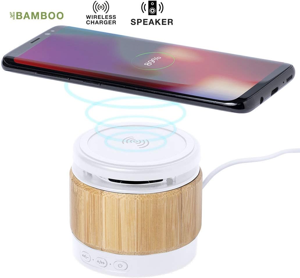 2 in 1 Bluetooth Speaker & Charger